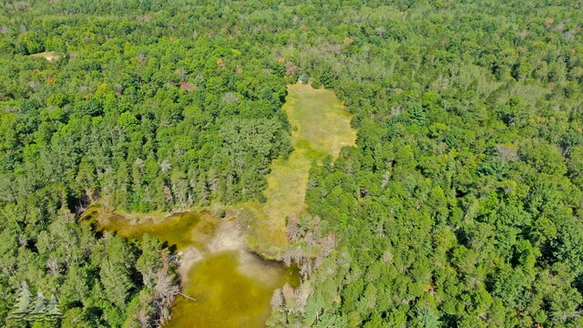 320ACRES Stickfort Rd, Lewiston, MI 49756 - photo 6