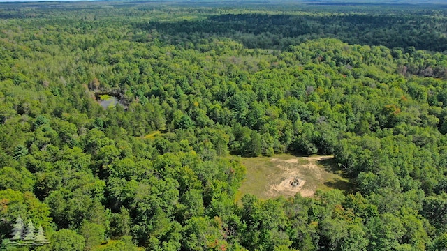320ACRES Stickfort Rd, Lewiston, MI 49756 - photo 7