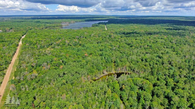 320ACRES Stickfort Rd, Lewiston, MI 49756 - photo 8