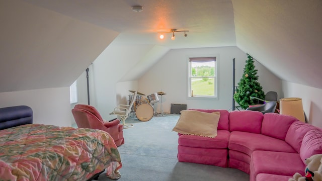 bedroom with vaulted ceiling and carpet floors