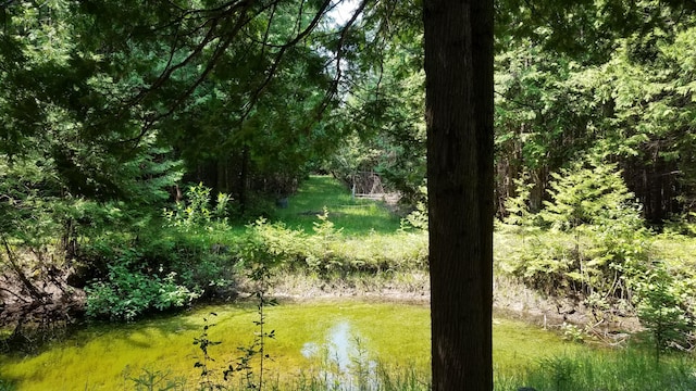 7351 Hamilton Rd, Alpena, MI 49707 - photo 19