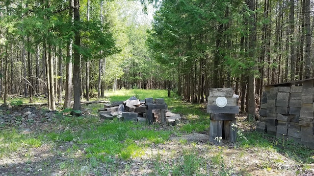 7351 Hamilton Rd, Alpena, MI 49707 - photo 24