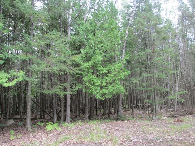 7351 Hamilton Rd, Alpena, MI 49707 - photo 34