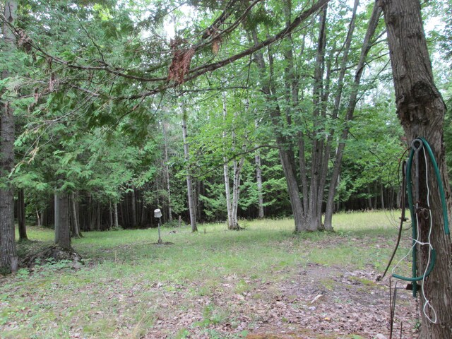 7351 Hamilton Rd, Alpena, MI 49707 - photo 35