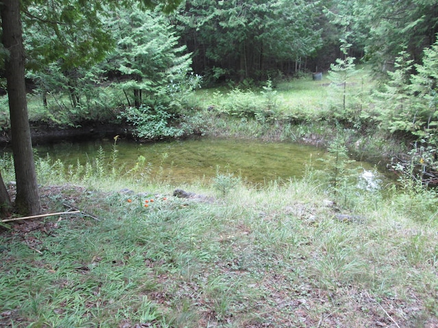 7351 Hamilton Rd, Alpena, MI 49707 - photo 21