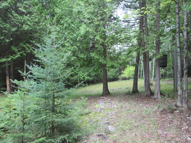 7351 Hamilton Rd, Alpena, MI 49707 - photo 37