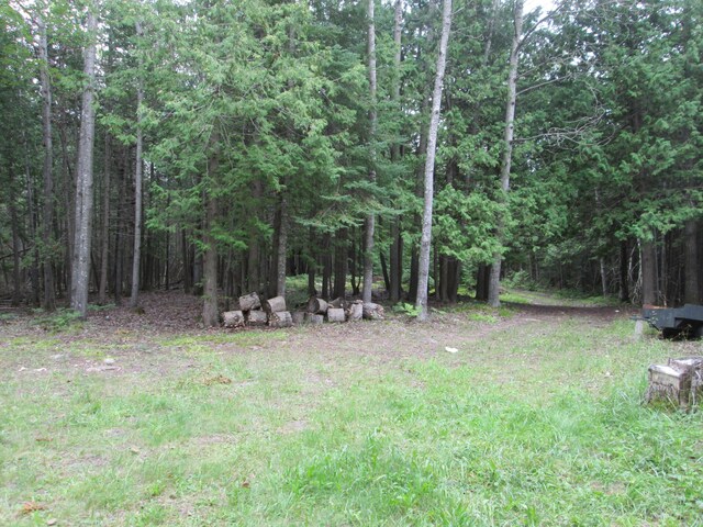 7351 Hamilton Rd, Alpena, MI 49707 - photo 39