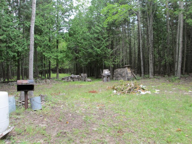 7351 Hamilton Rd, Alpena, MI 49707 - photo 40