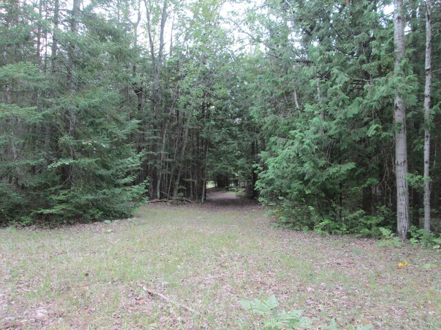 7351 Hamilton Rd, Alpena, MI 49707 - photo 41