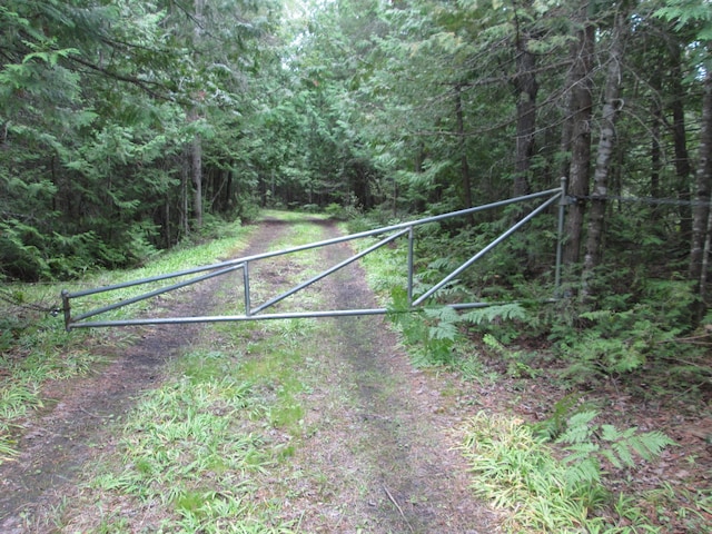 7351 Hamilton Rd, Alpena, MI 49707 - photo 44