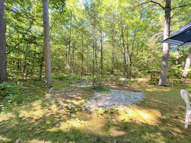 view of yard featuring a forest view