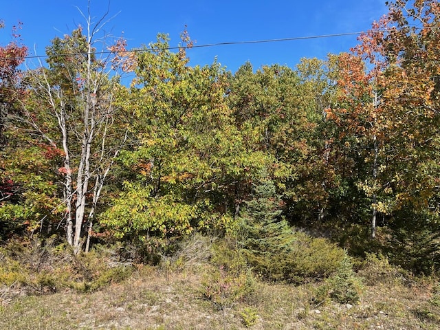 Highland Pines Rd, Presque Isle MI, 49777 land for sale