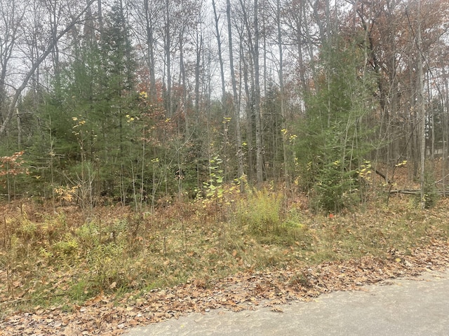 Listing photo 3 for E Shadow Lake Rd, Prudenville MI 48651