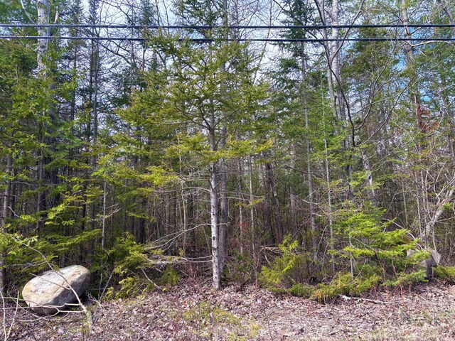 E Grand Lake Rd, Presque Isle, MI 49777 - photo 1