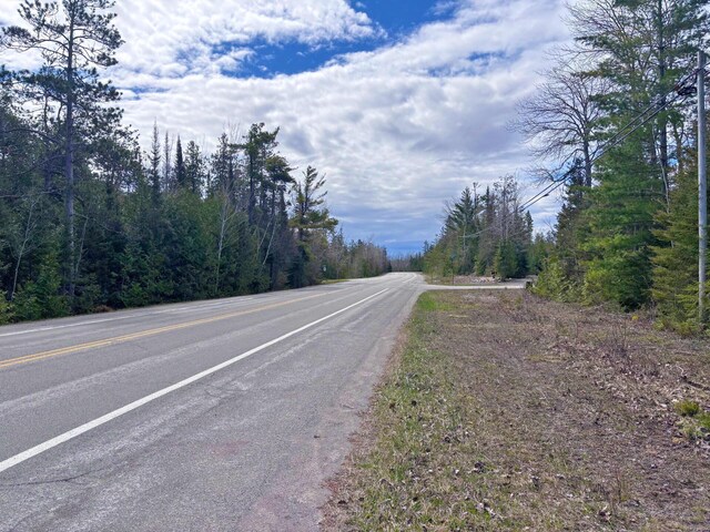 E Grand Lake Rd, Presque Isle, MI 49777 - photo 2
