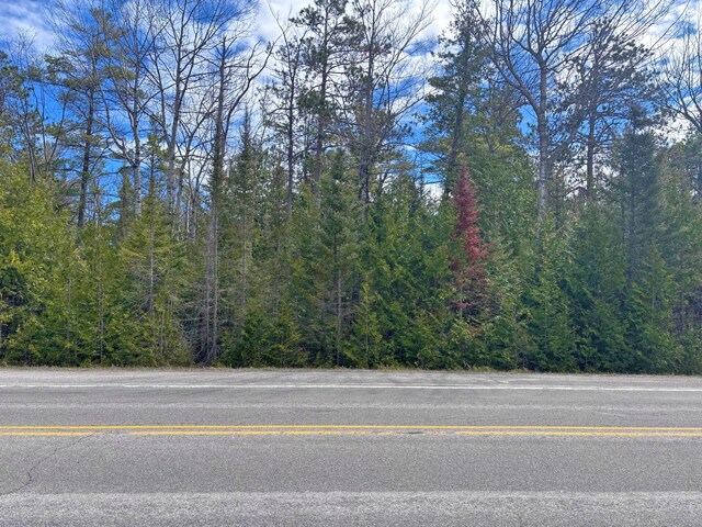 E Grand Lake Rd, Presque Isle, MI 49777 - photo 3