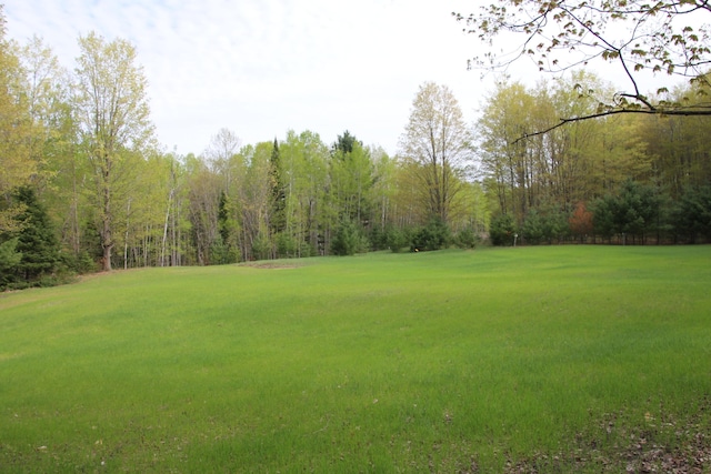 Hall Rd, Atlanta, MI 49709 - photo 7