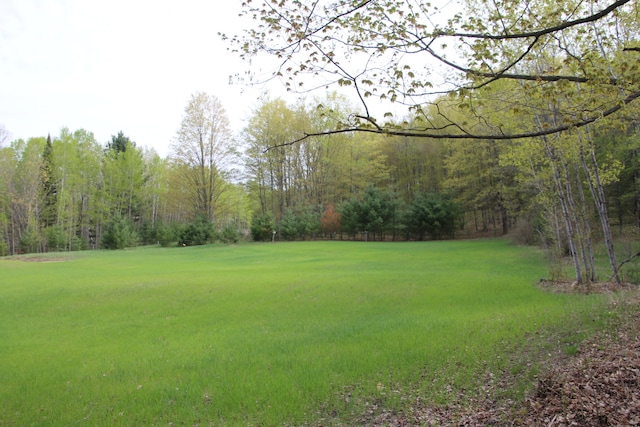 Hall Rd, Atlanta, MI 49709 - photo 8