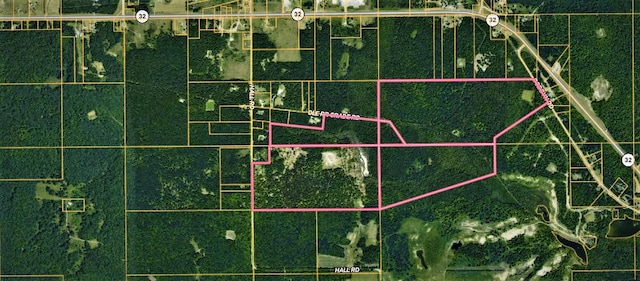 Hall Rd, Atlanta, MI 49709 - photo 2