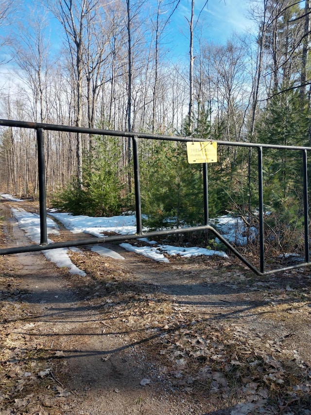 Hall Rd, Atlanta, MI 49709 - photo 10