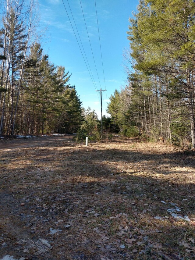 Hall Rd, Atlanta, MI 49709 - photo 11