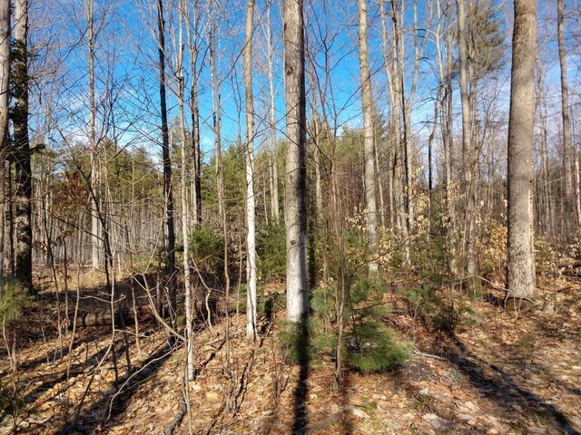 Hall Rd, Atlanta, MI 49709 - photo 12