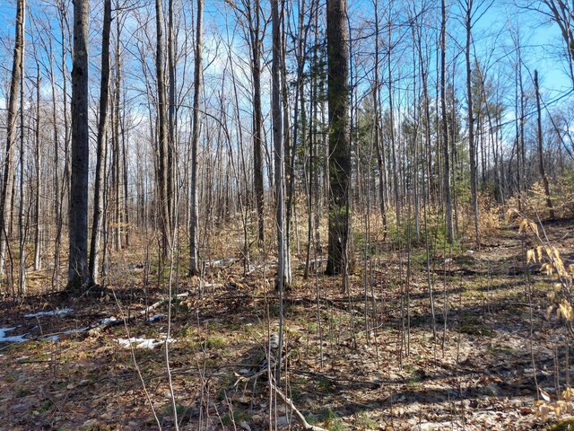 Hall Rd, Atlanta, MI 49709 - photo 13
