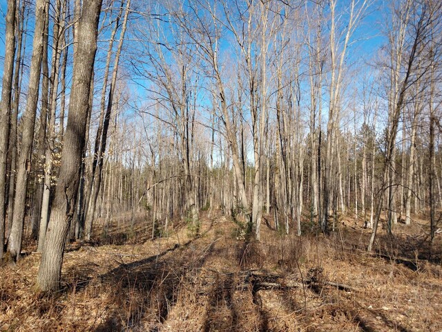 Hall Rd, Atlanta, MI 49709 - photo 14