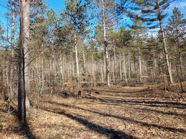 Hall Rd, Atlanta, MI 49709 - photo 15