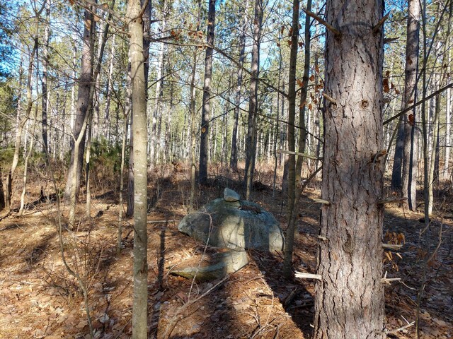 Hall Rd, Atlanta, MI 49709 - photo 16