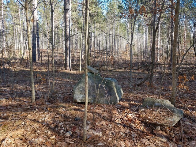 Hall Rd, Atlanta, MI 49709 - photo 17