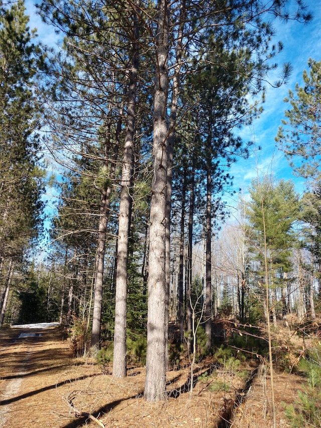 Hall Rd, Atlanta, MI 49709 - photo 18
