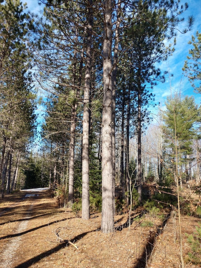 Hall Rd, Atlanta, MI 49709 - photo 19