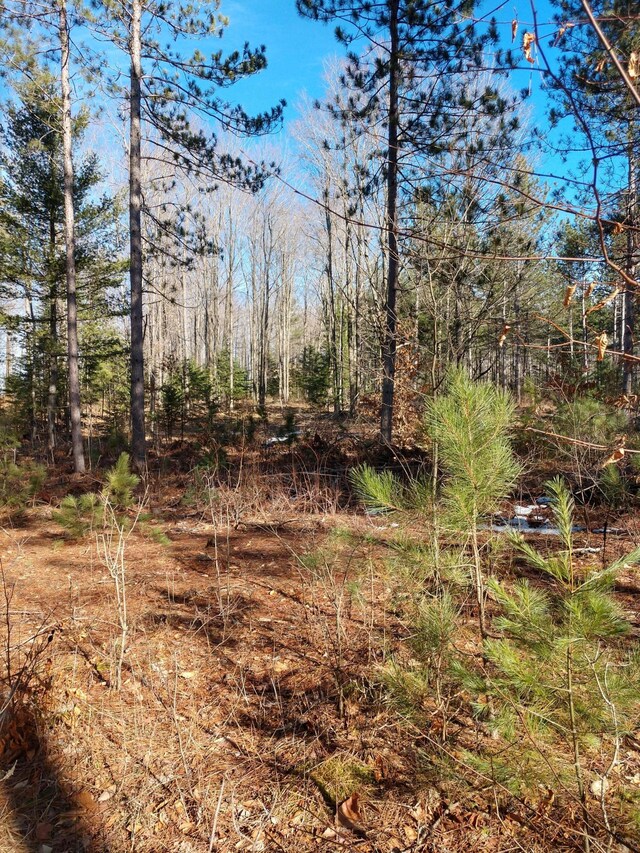 Hall Rd, Atlanta, MI 49709 - photo 20