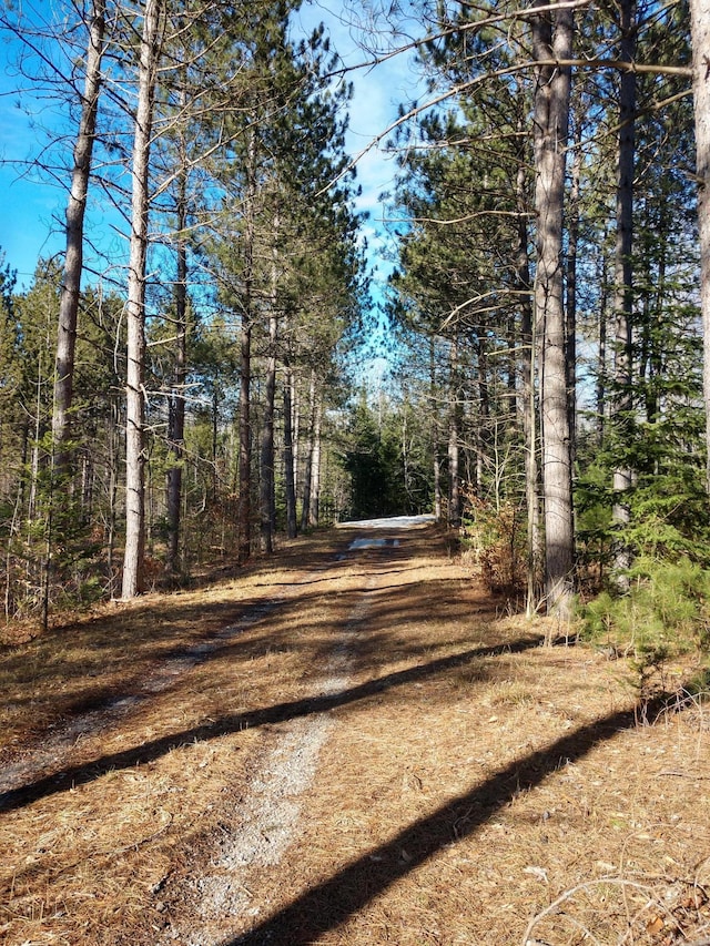 Hall Rd, Atlanta, MI 49709 - photo 21