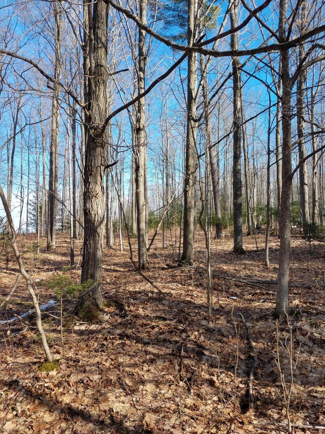 Hall Rd, Atlanta, MI 49709 - photo 24