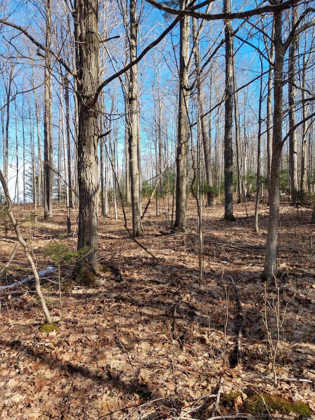 Hall Rd, Atlanta, MI 49709 - photo 25
