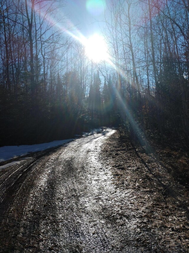 Hall Rd, Atlanta, MI 49709 - photo 26