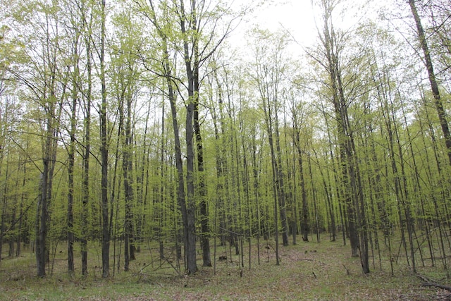 Hall Rd, Atlanta, MI 49709 - photo 27