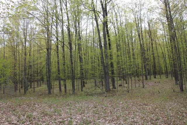 Hall Rd, Atlanta, MI 49709 - photo 28