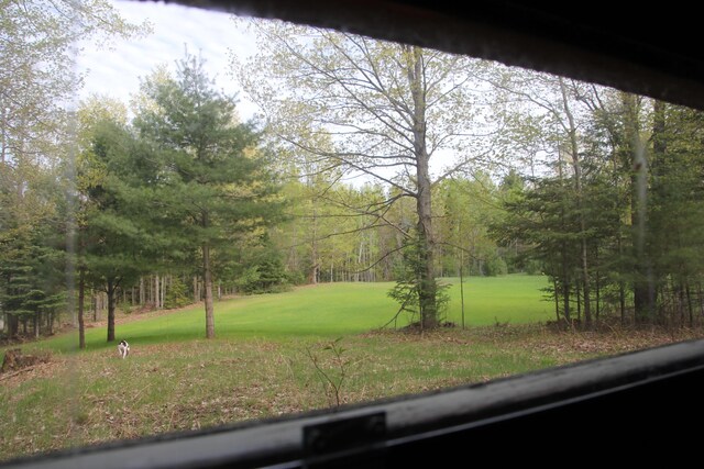 Hall Rd, Atlanta, MI 49709 - photo 29