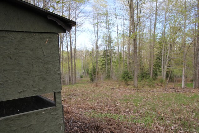 Hall Rd, Atlanta, MI 49709 - photo 30