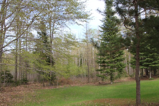 Hall Rd, Atlanta, MI 49709 - photo 31