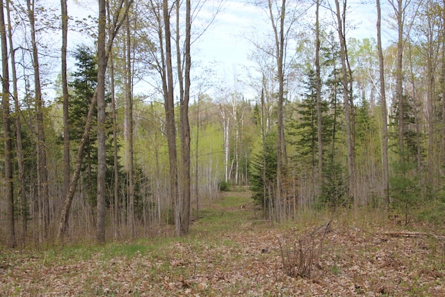 Hall Rd, Atlanta, MI 49709 - photo 32
