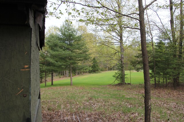 Hall Rd, Atlanta, MI 49709 - photo 33