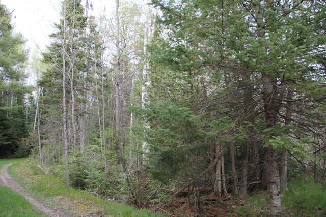 Hall Rd, Atlanta, MI 49709 - photo 34