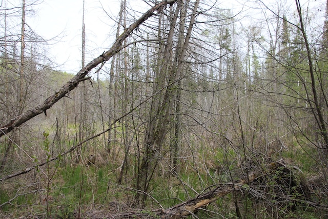 Hall Rd, Atlanta, MI 49709 - photo 35