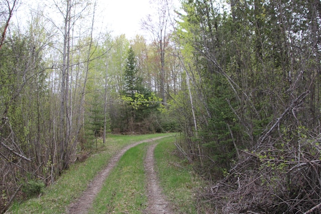 Hall Rd, Atlanta, MI 49709 - photo 38