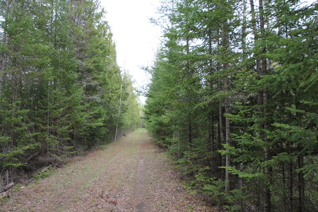 Hall Rd, Atlanta, MI 49709 - photo 39