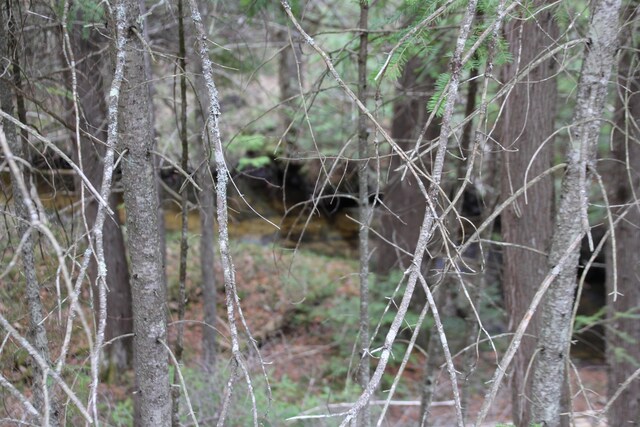 Hall Rd, Atlanta, MI 49709 - photo 40